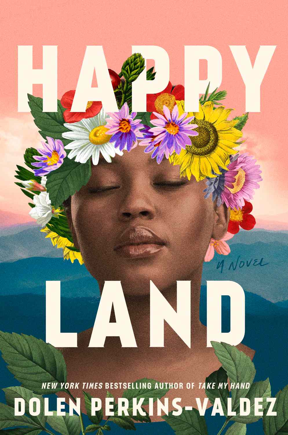 Happy Land (Hardcover)
