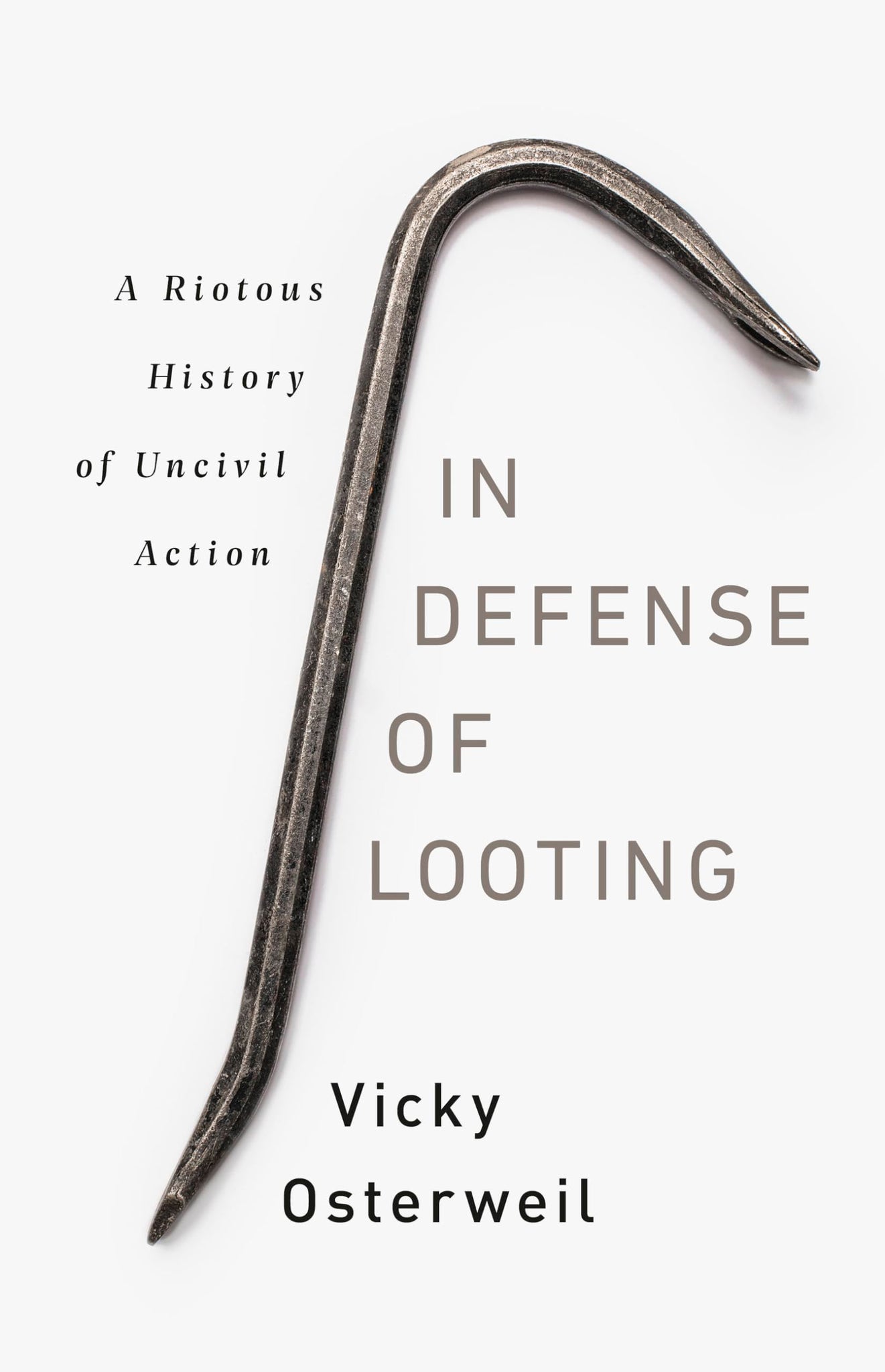 In Defense of Looting: A Riotous History of Uncivil Action (Hardcover)