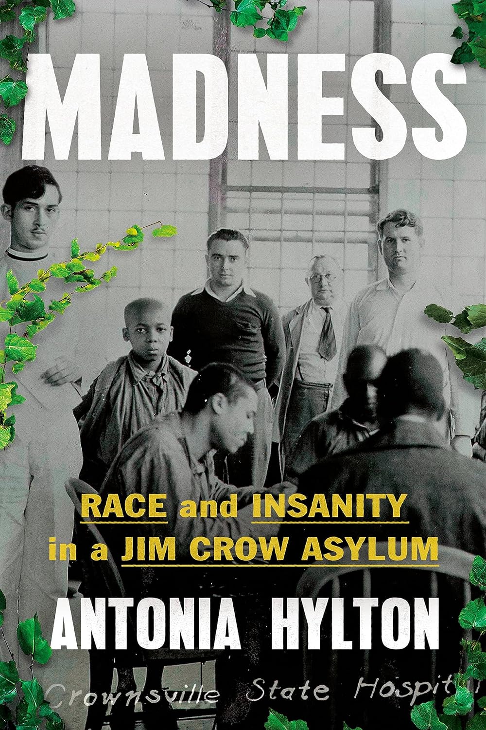 Madness: Race and Insanity in a Jim Crow Asylum (Paperback)