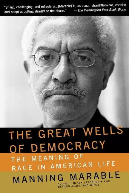The Great Wells of Democracy: The Meaning of Race in American Life (Paperback)
