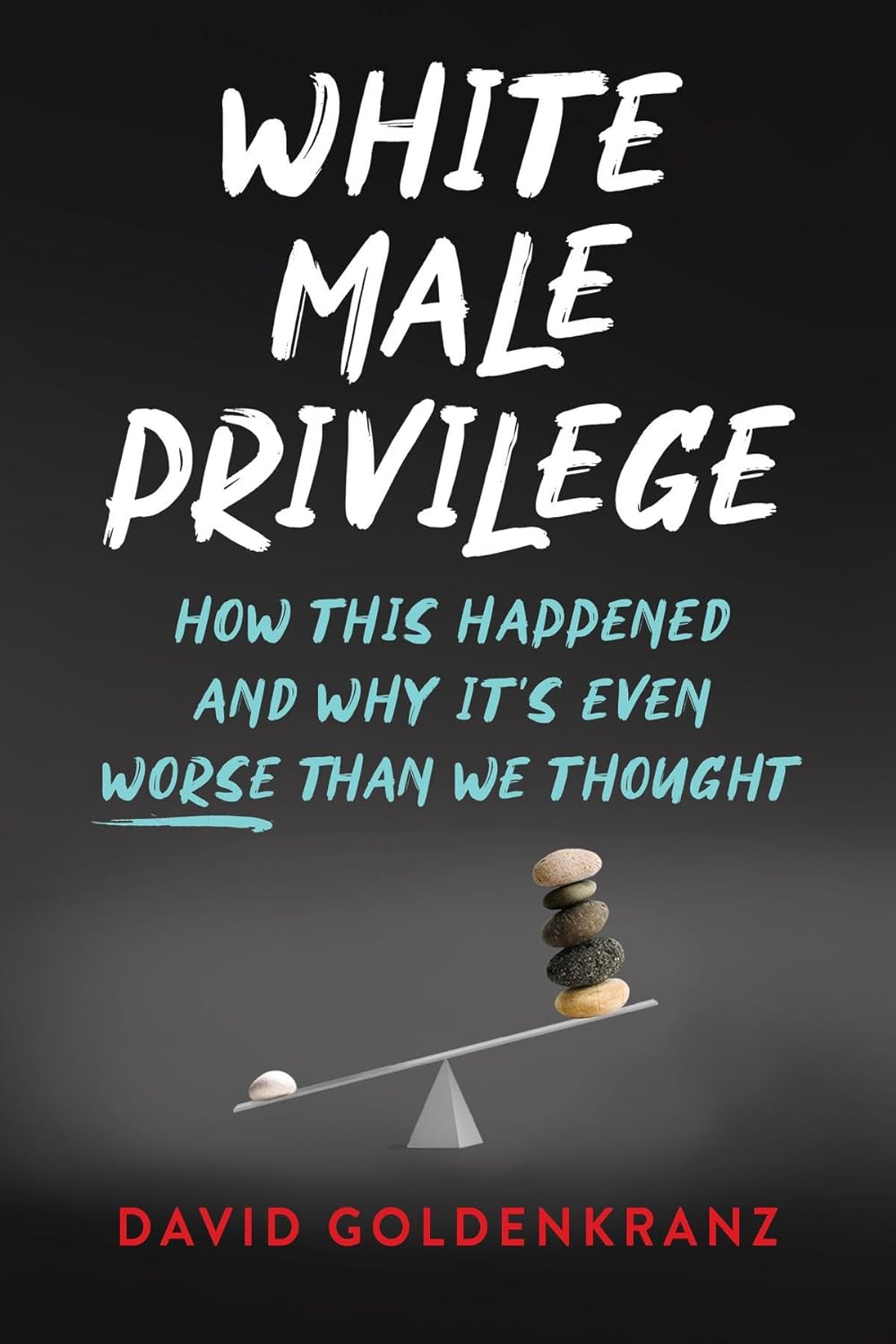 White Male Privilege: How This Happened and Why It's Even Worse than We Thought (Paperback)