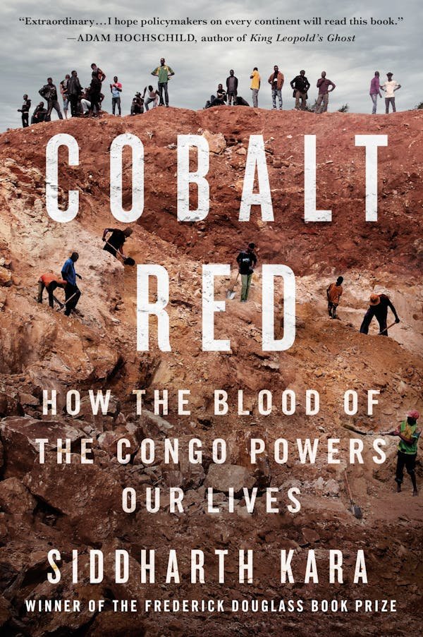 Cobalt Red: How the Blood of the Congo Powers Our Lives (Hardcover)