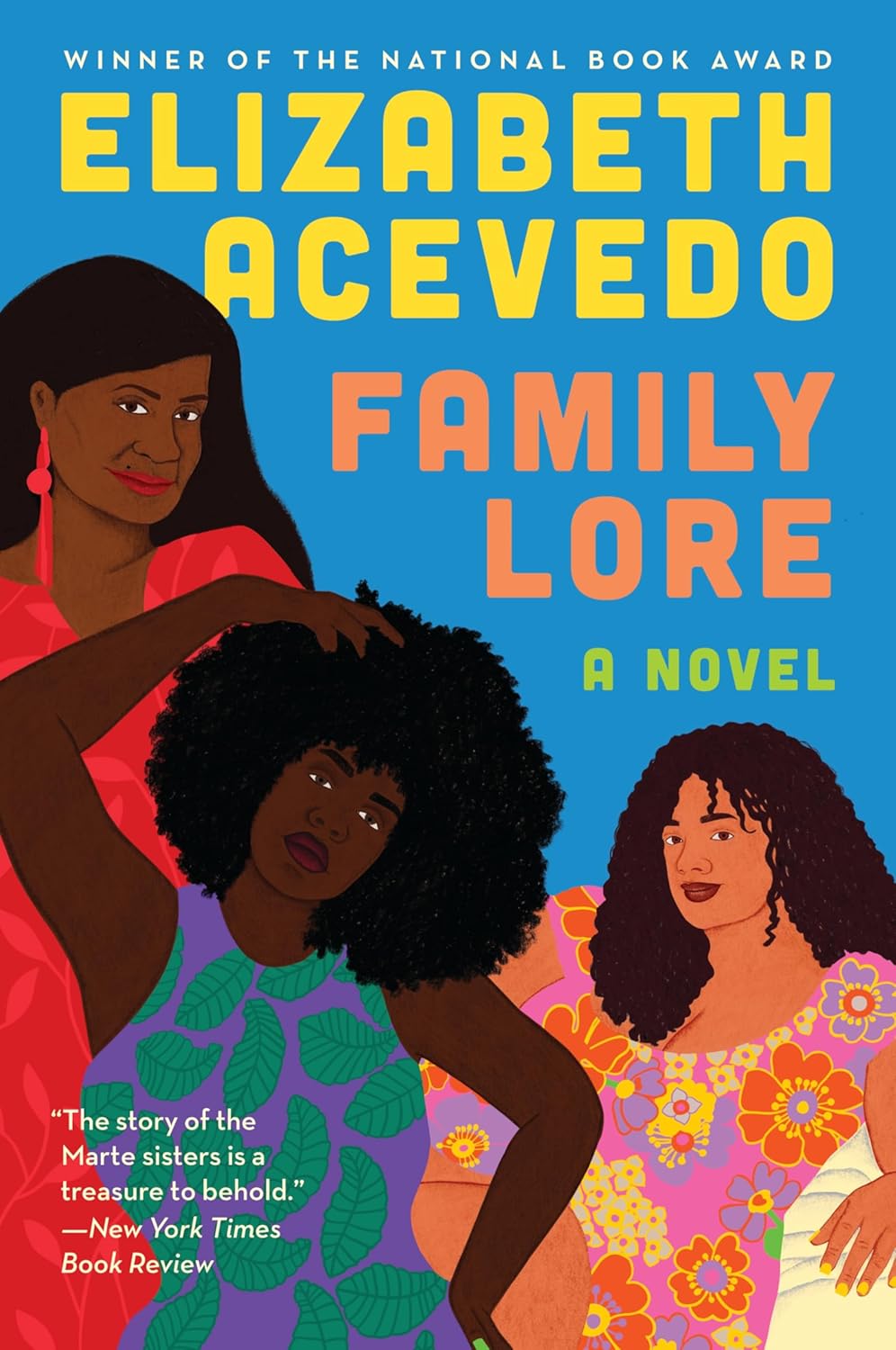 Family Lore (Paperback)