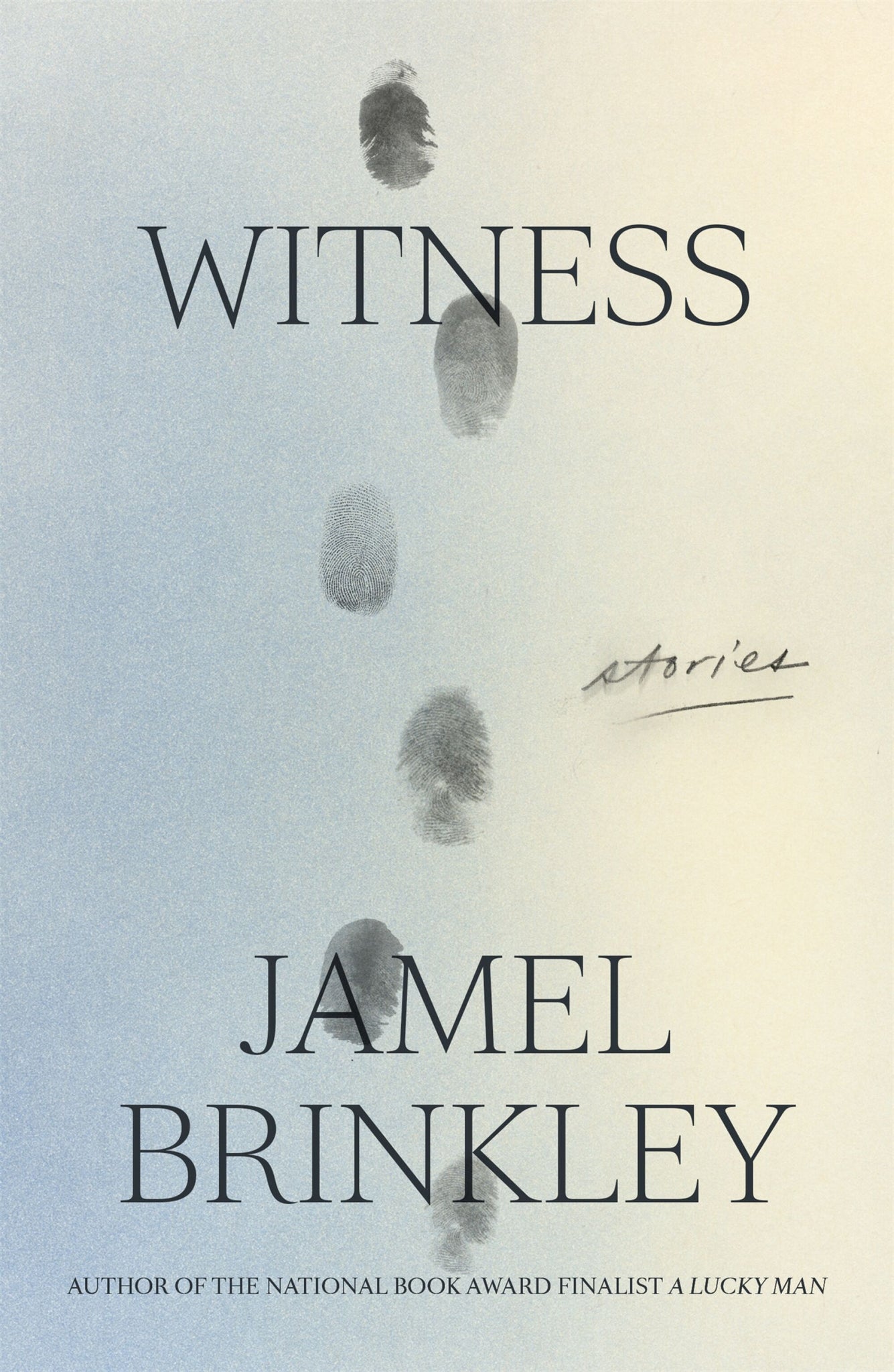 Witness: Stories (Hardcover)